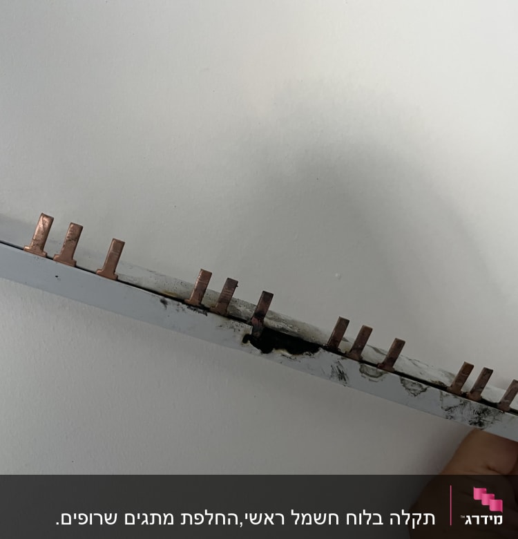 פס חשמל עם חיבורים נחושת ביד חשמלאי